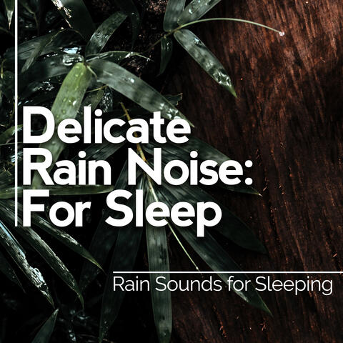 Delicate Rain Noise: For Sleep
