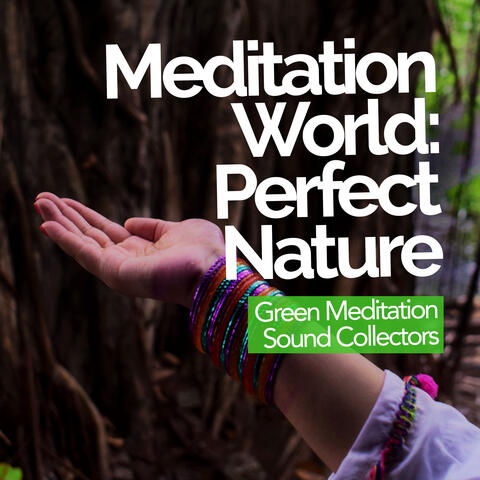 Meditation World: Perfect Nature