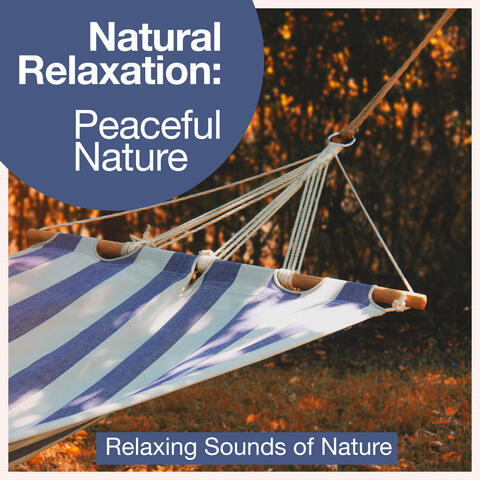 Natural Relaxation: Peaceful Nature