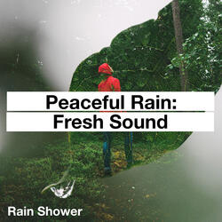 Deep Rainfall