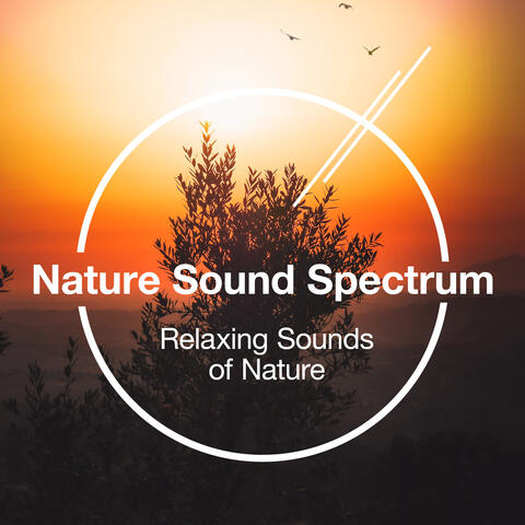 Nature Sound Spectrum