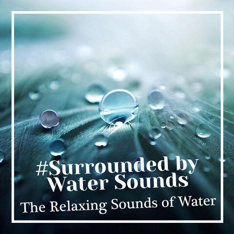 #Surrounded by Water Sounds