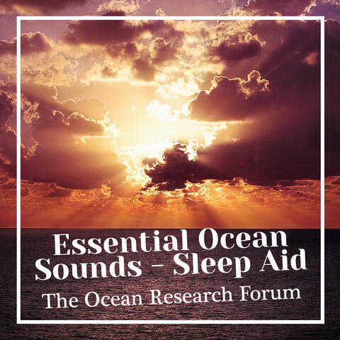 Essential Ocean Sounds - Sleep Aid