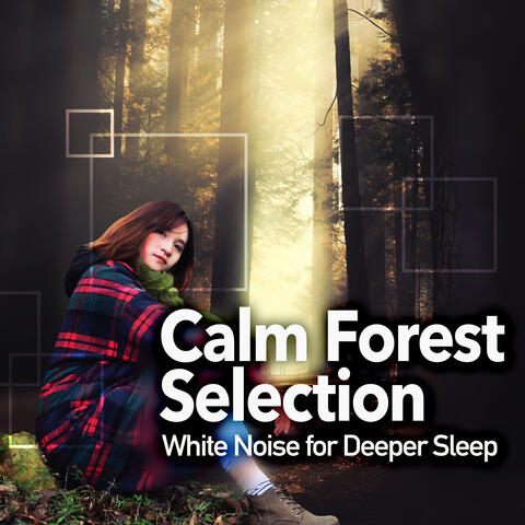 Calm Forest Selection