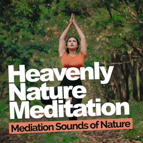 Heavenly Nature Meditation