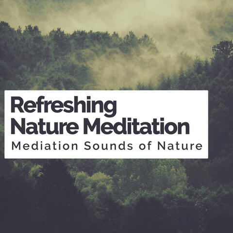 Refreshing Nature Meditation