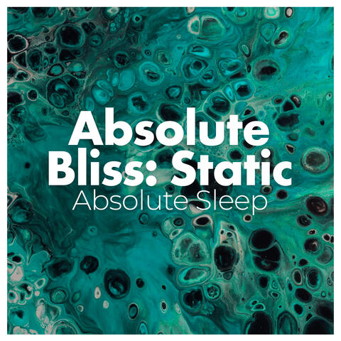 Absolute Bliss: Static