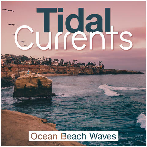 Tidal Currents