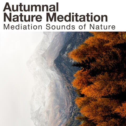 Autumnal Nature Meditation