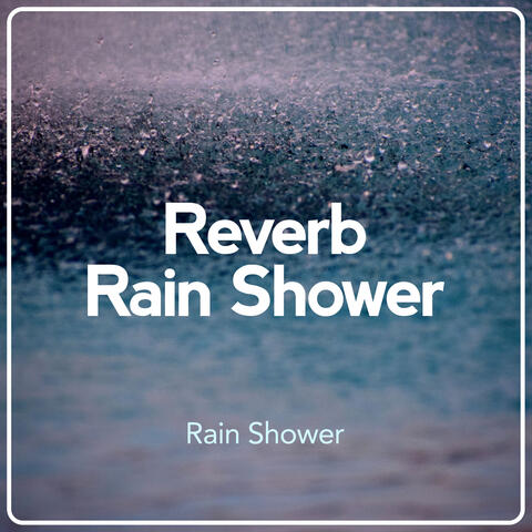 Reverb Rain Shower