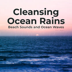 Far From the Night Sea