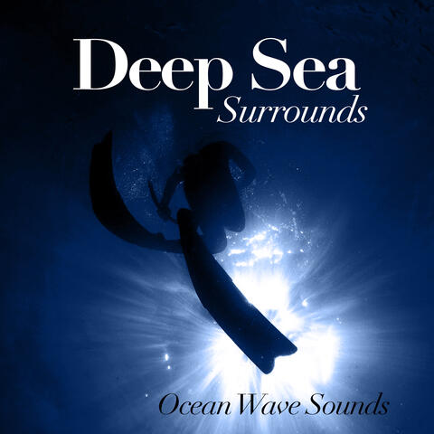 Deep Sea Surrounds