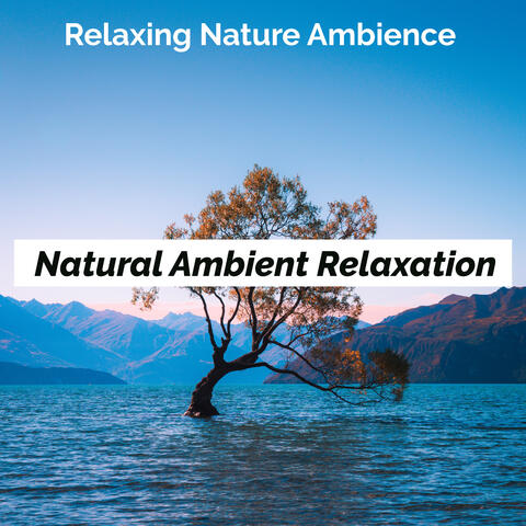 Natural Ambient Relaxation