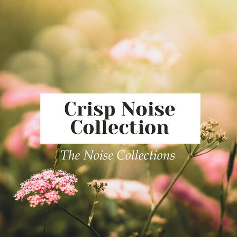 Crisp Noise Collection