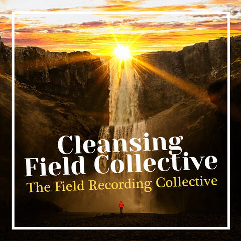 Cleansing Field Collective