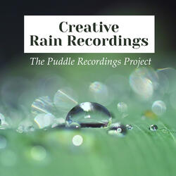 Heavy Rain