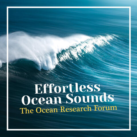 Effortless Ocean Sounds