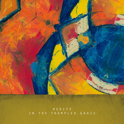 In the Trampled Grass