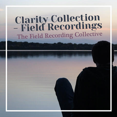 Clarity Collection - Field Recordings