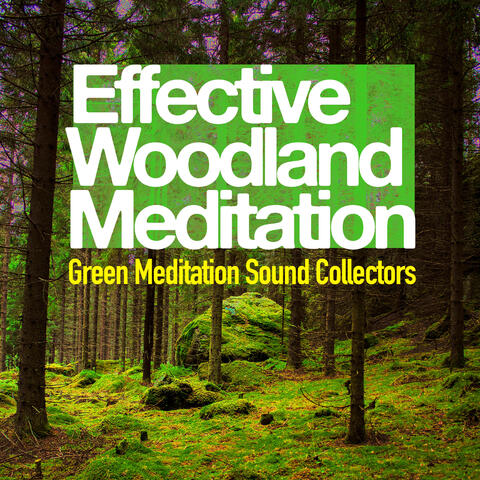 Effective Woodland Meditation
