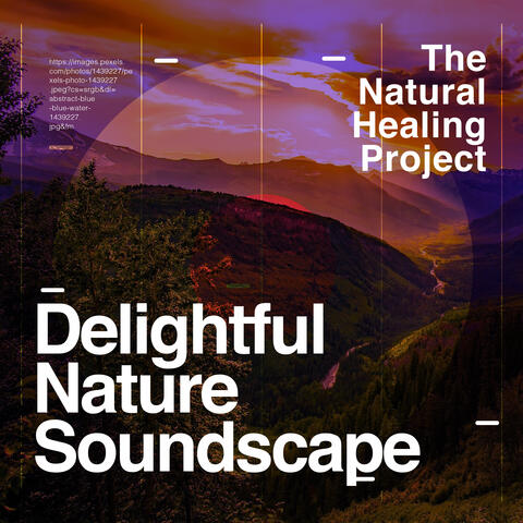 Delightful Nature Soundscape