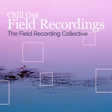 Chill Out Field Recordings