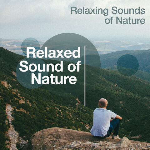 Relaxed Sound of Nature