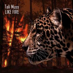 Like Fire