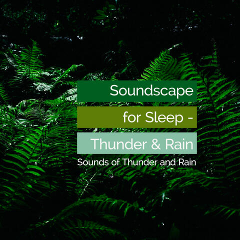 Soundscape for Sleep - Thunder & Rain