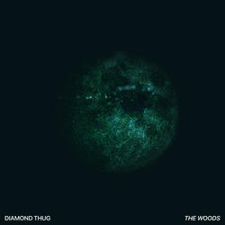The Woods