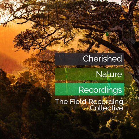Cherished Nature Recordings