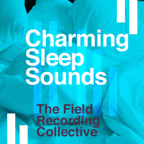 Charming Sleep Sounds