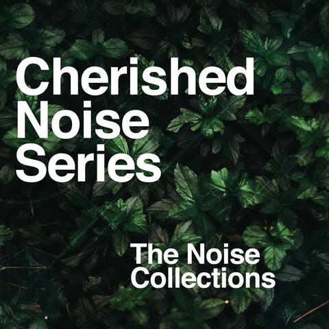 Cherished Noise Series