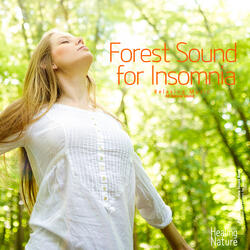 Verdant Forest (ASMR, Sleep Music, Meditation Music)