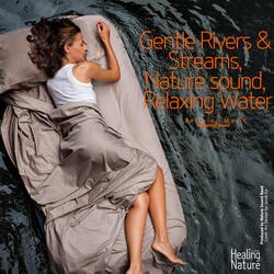 Flow with the Flowing Water (ASMR, Sleep Music, Meditation Music)