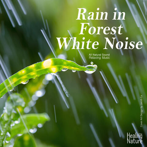 Rain in Forest White Noise (Relaxation, Relaxing Muisc, White Noise, Insomnia, Deep Sleep, Meditation, Concentration, Lullaby, Prenatal Care, Healing, Memorization, Yoga, Spa)
