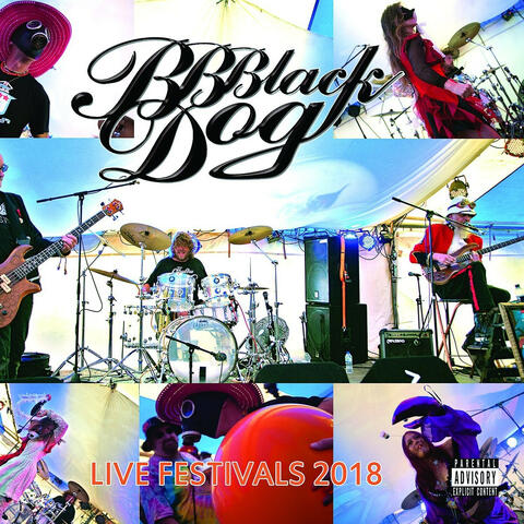 BB BlackDog (Live Festivals 2018)