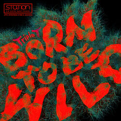 Born to be Wild (Feat. JYP)