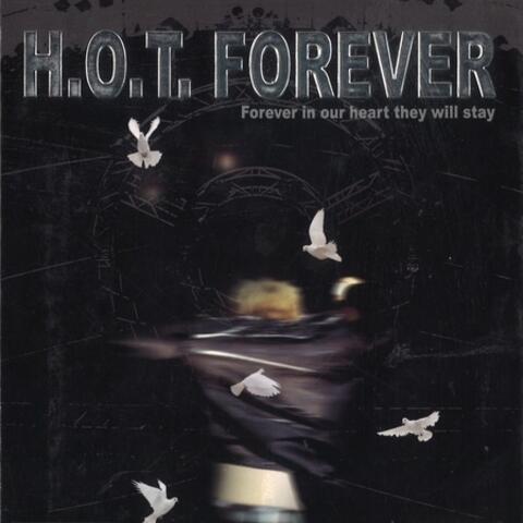 FOREVER 2001 LIVE CONCERT