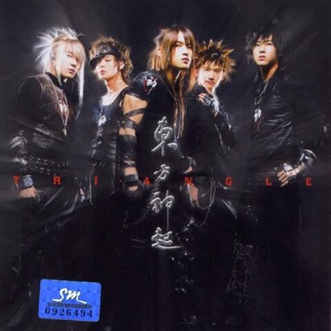 Tri-Angle - The 1st Album