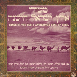 הן לא חרשתי (ספיח)