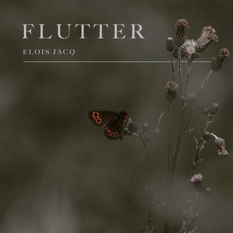 flutter