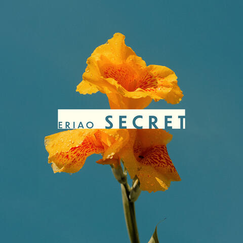 Secret