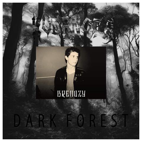 Dark Forest
