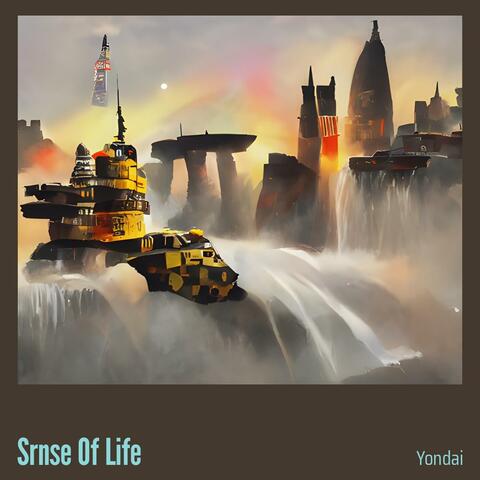 Srnse of Life