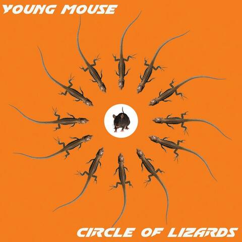 Circle of Lizards