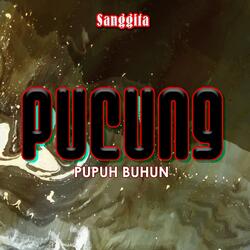 Pucung Pupuh Buhun