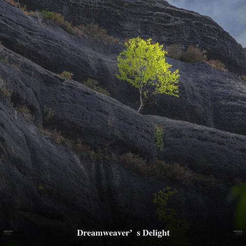 Dreamweaver's Delight