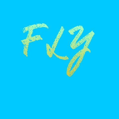 FLY