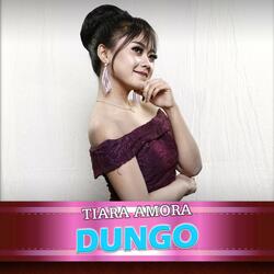 Dungo